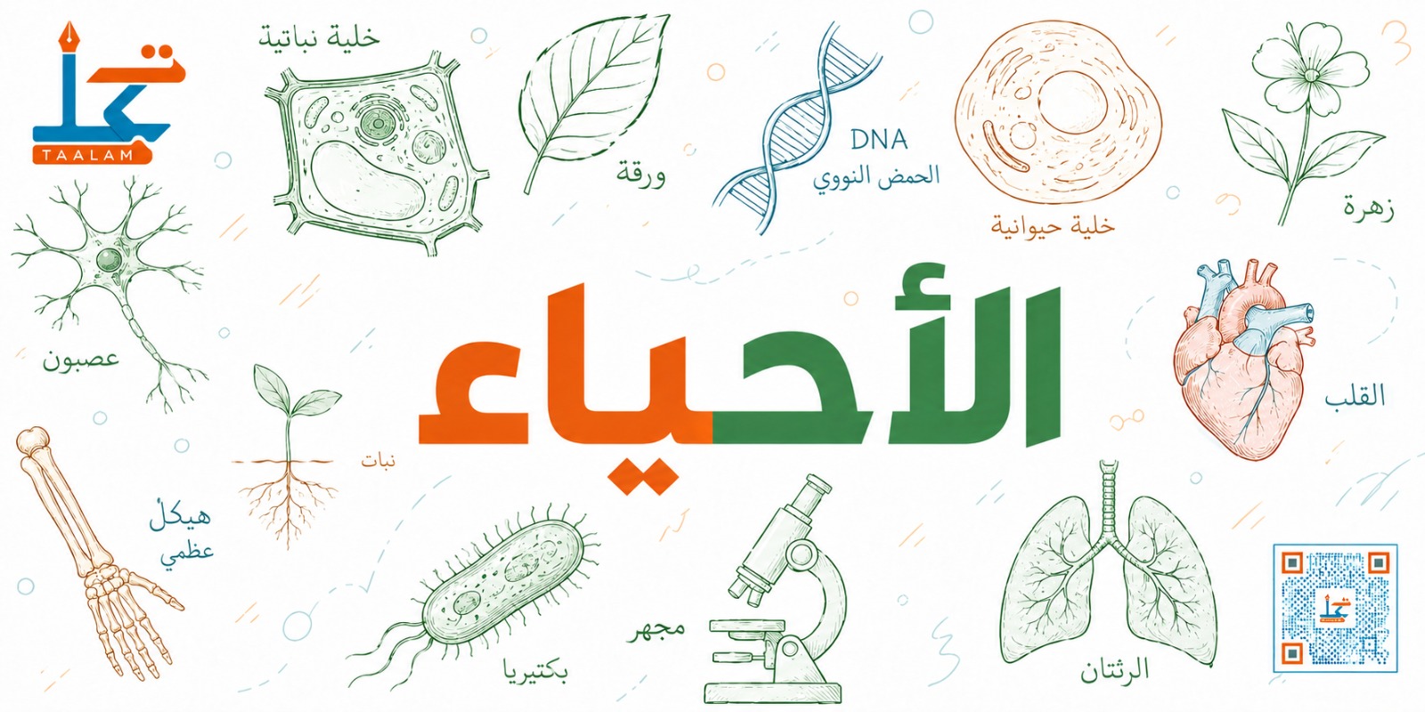 الاحياء