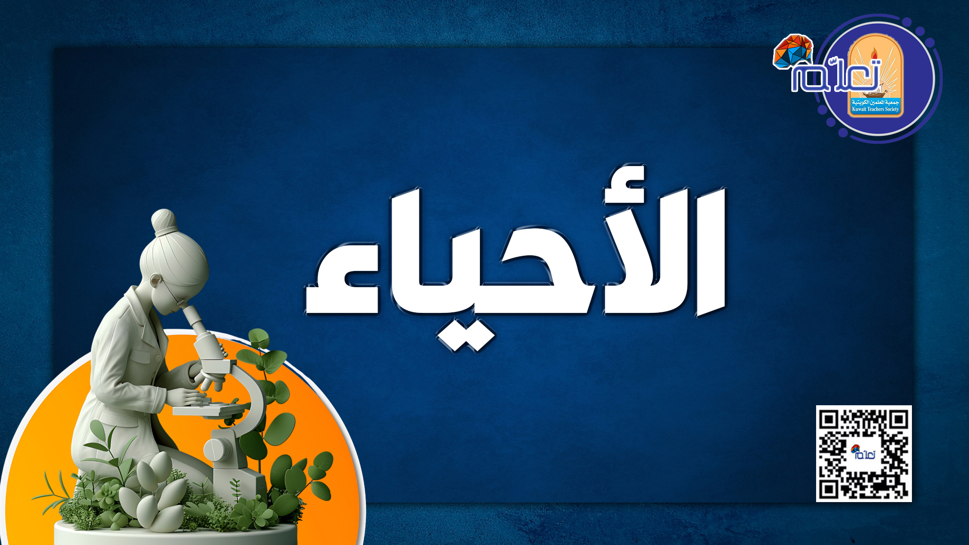 الأحياء